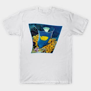 Angelfish | I am the emperor in my area | T-Shirt